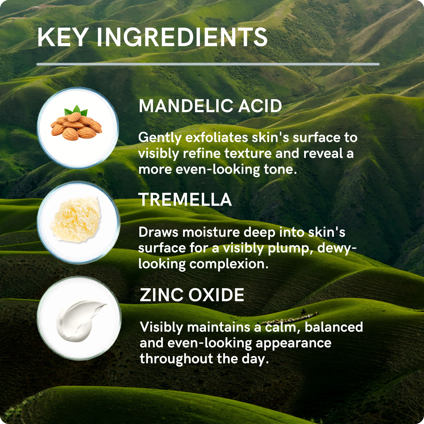 Clear Essentials Protocol — Medium Shade Tinted Zinc