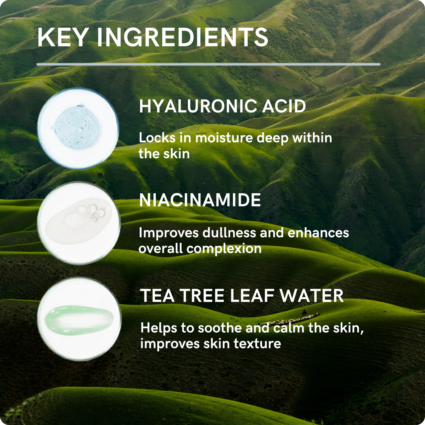 Clear Discovery Protocol — Light Shade Tinted Zinc