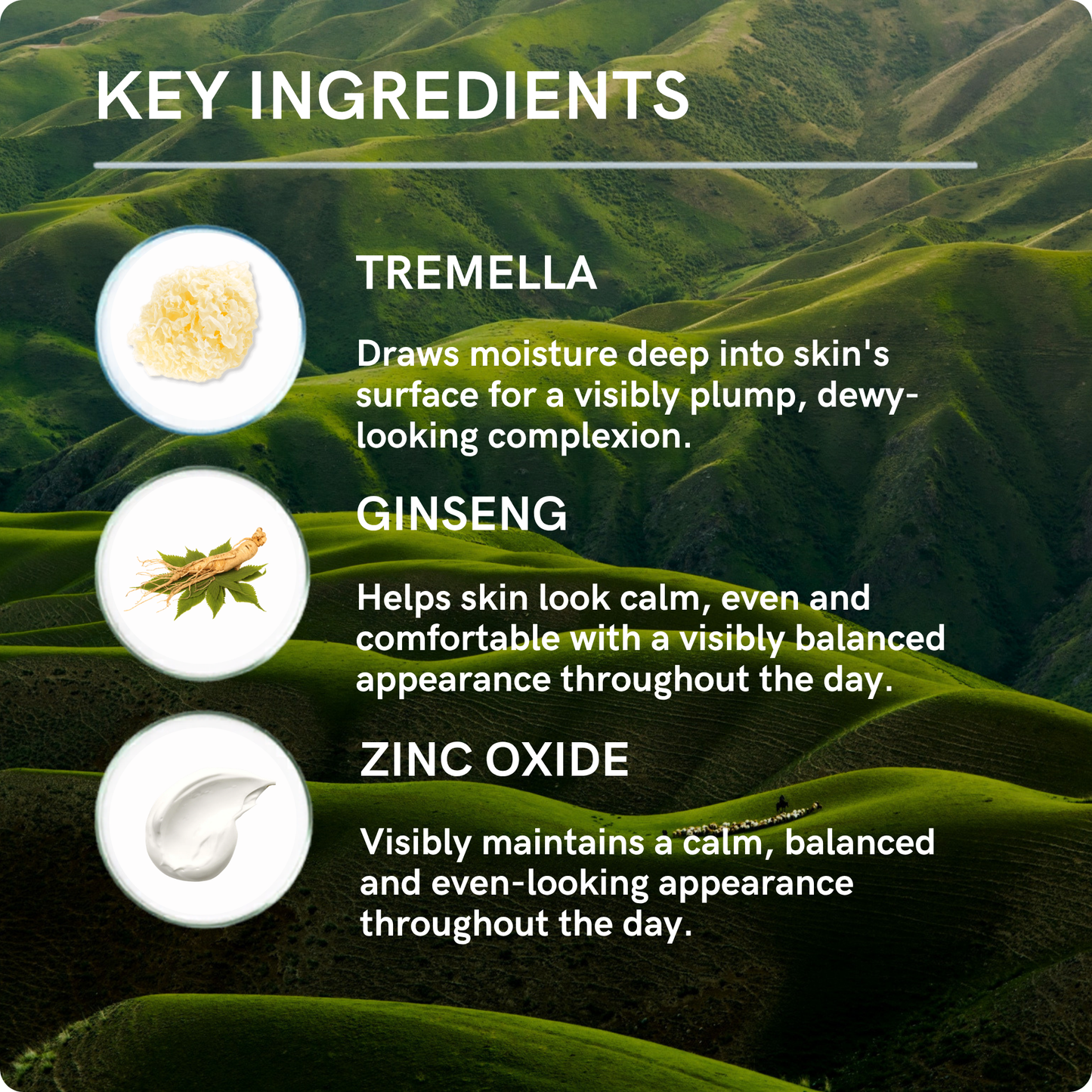 Clear Discovery Protocol — Medium Shade Tinted Zinc